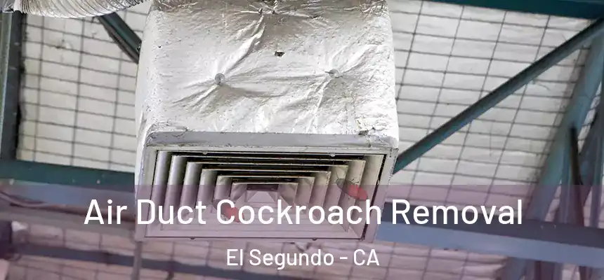 Air Duct Cockroach Removal El Segundo - CA
