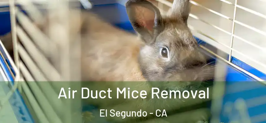 Air Duct Mice Removal El Segundo - CA