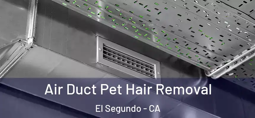 Air Duct Pet Hair Removal El Segundo - CA