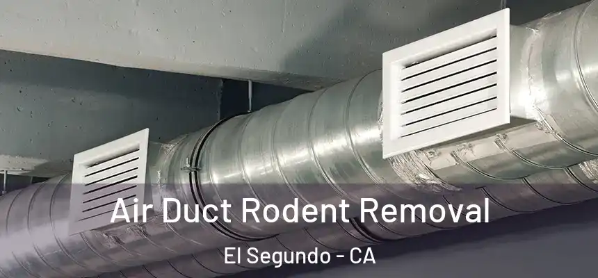 Air Duct Rodent Removal El Segundo - CA