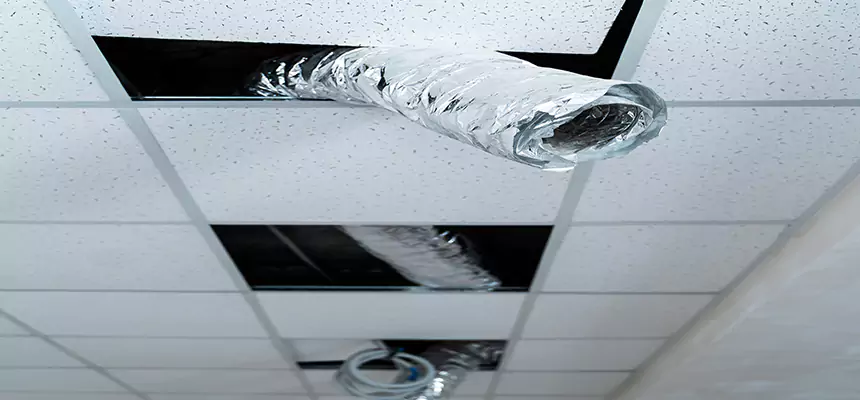 Our Air Duct Pet Hair Removal Services in El Segundo, CA