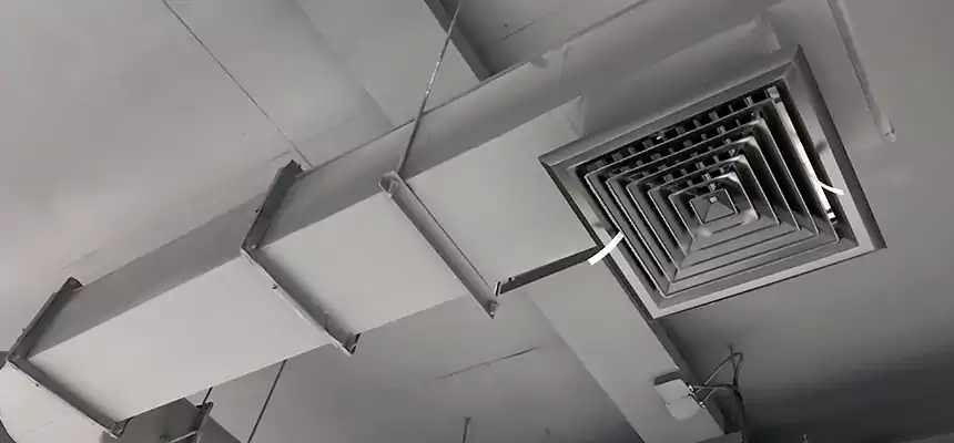 Our Pest Removal From Ducts Services in El Segundo, CA