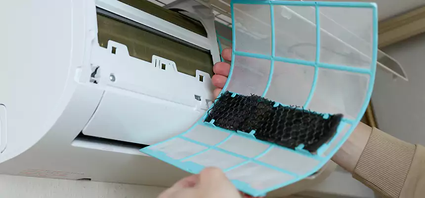 Gentle Ductwork Odor-Control Pet Dander Duct Cleaning in El Segundo, CA