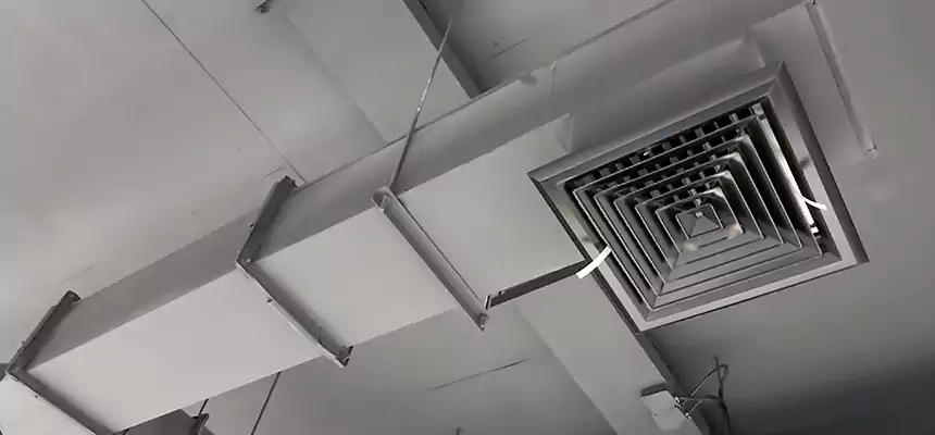 Our Rodent Droppings In Vents Services in El Segundo, CA