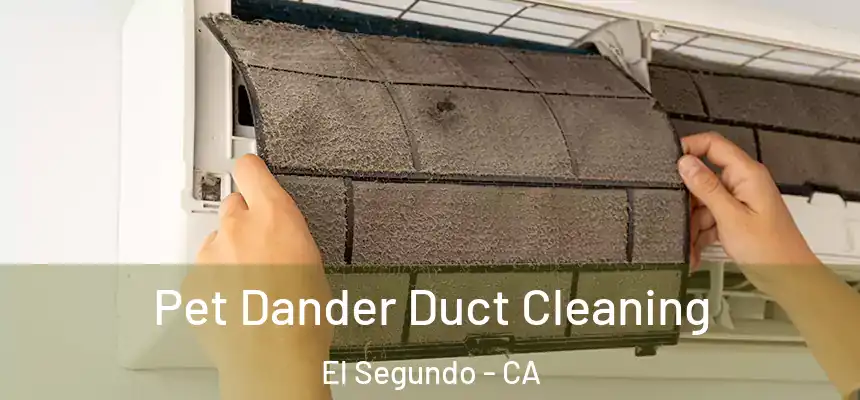 Pet Dander Duct Cleaning El Segundo - CA