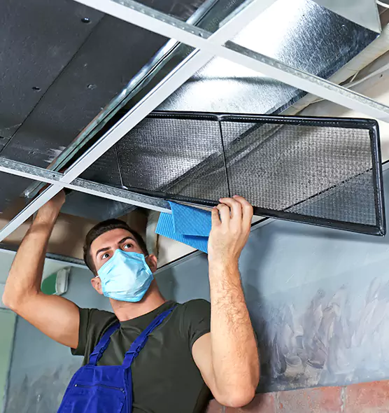 About Air Duct Bacteria Removal in El Segundo