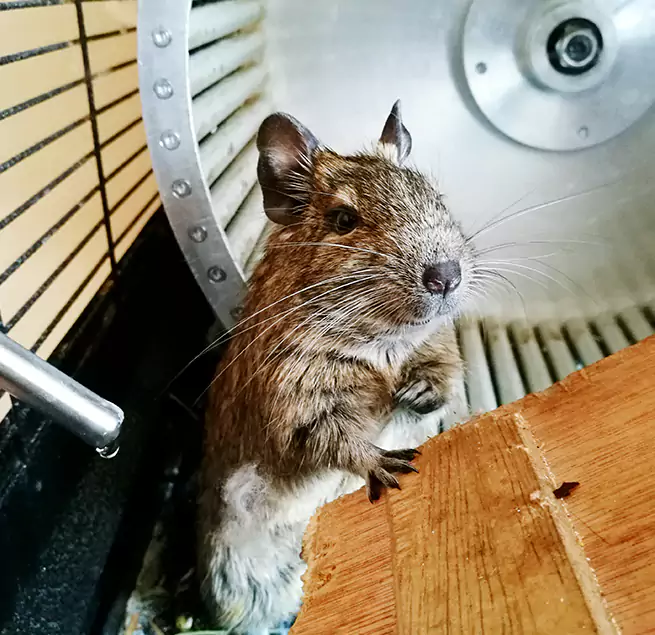 Why Homeowners & Businesses Trust Us El Segundo, CA