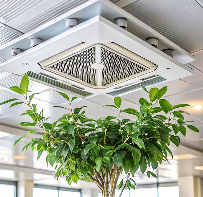 Why Homeowners & Businesses Trust Us in El Segundo, CA?