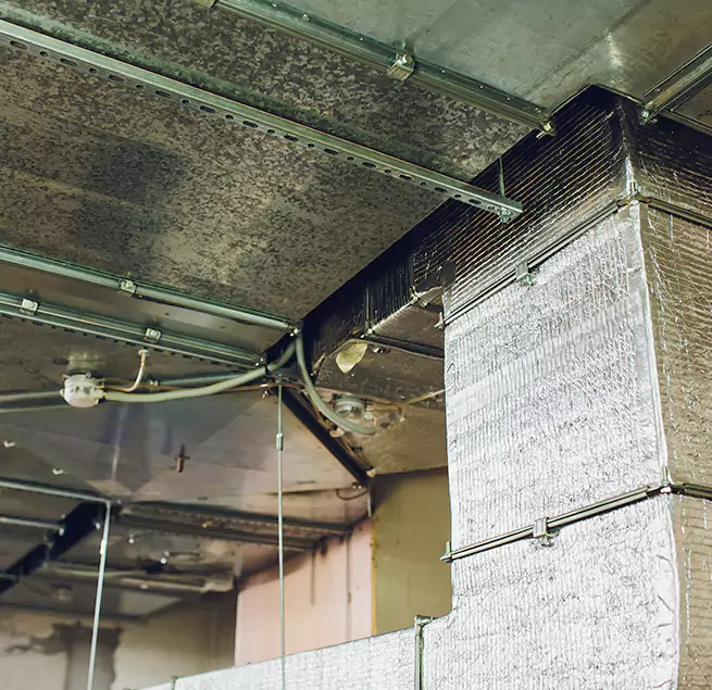 Why Homeowners & Businesses Trust Us in El Segundo, CA?